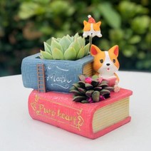 ROOGO 루고 다육이 미니화분 코기의 아침인사 공부 코기 (다육식물 불포함)