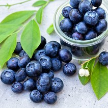 국내산 블루베리 생과 (대과) 100gX1팩 /2팩/4팩, *I649_국내산 블루베리 생과 (대과) 100gX2팩, 2개