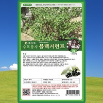 블랙커런트 씨앗 2g 수목 조경씨 나무종자