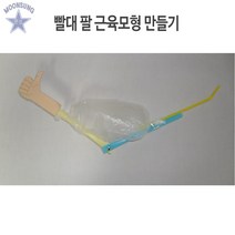빨대 팔근육모형 만들기(10인용)