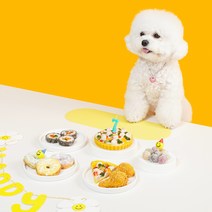 더플로우컴퍼니 반려동물 생일축하 장난감 큰케이크 16.5 x 18 cm, 혼합색상, 1개