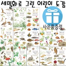 보리 세밀화로 그린 보리 어린이 도감 시리즈, 13. 버섯 도감