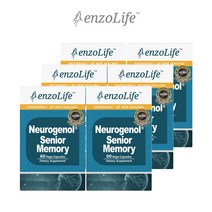 엔조라이프 뉴질랜드 뉴로제놀 메모리 60정 6통