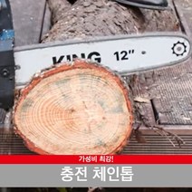 킹 충전 체인톱 12인치 JMC20V-300P, 충전 체인톱 주피터배터리1개세트