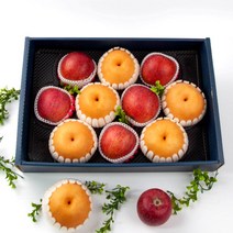 [익산원예농협] 한아름드린 사과배 혼합선물세트 6kg(사과5과+배5과)
