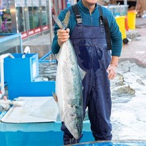 [동쪽바다푸른수산]8kg 이상 방어만 사용한 돼지 방어회, 돼지방어회 전체 부위 900g (3~4인분)