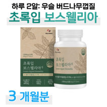 초록입홍합 초록 홍합 인도 보스웰리아 하루 두알 보스웰릭산 우슬 치커리 버드나무 껍질 홈쇼핑 골드 플래티넘 영양제 프리미엄 성분 가격 효능 비교 부모님 엄마 아빠 선생님, 3개월분, 1000mg x 60정 (하루두알)