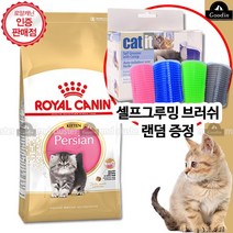 로얄캐닌 캣 페르시안 키튼 4Kg+셀프그루밍브러쉬, 단품