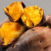 [뜰안애] 안면도 호박고구마 5kg(한입/40-60g내), 단품