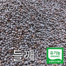 산들바람 2022년산 국산 유기농 생 들깨 500g