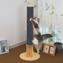캣츄얼 고양이 카페트 원목 기둥형 스크래쳐 대형, 혼합색상, 1개