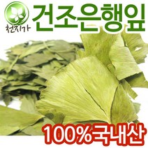 국산 은행잎 300g 건조은행잎