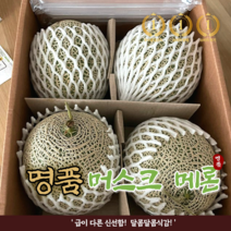 특품 국산 프리미엄 13bir 초고당도 머스크 메론 4-6수 멜론 가정용 선물세명절 선 선물 트 8KG, 1개