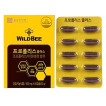 프로폴리스 포로폴리스 플로폴리스 포르폴리스 포로플리스 플로플리스 프로풀리스 플로풀리스, 1개, 500mg 30g 60캡슐
