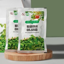 황금이네 미나리즙 4박스(120포), 단품, 단품