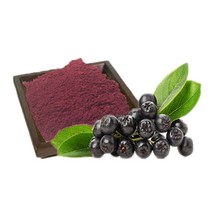 국산 아로니아 분말 300g×1팩, 1개, 단품
