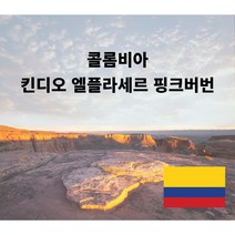 원두공방 [스페셜티] 콜롬비아 킨디오 엘플라세르 핑크버번 내추럴 200g 500g 1kg, 핸드드립/커피메이커