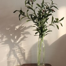 감성 인테리어 올리브 나무 가지 조화 100cm 대형 [어폼 인조 나뭇잎 열매 식물 소품 거실 방 벽 카페 꾸미기 소품 장식 실크플라워]