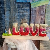 한반도농원 공기정화식물 스칸디아모스액자 러브(LOVE) 프로포즈선물, 그라데이션 그린, 파랑모자커플, 선물포장 +쇼핑백