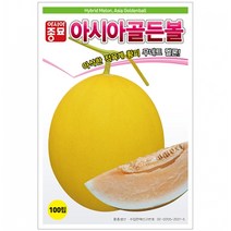 멜론씨앗 아시아골든볼(100립), 단품