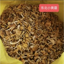 [신중국식품] xiao huang mo 동북산노랑버섯 말린쇼황뭐 건버섯 볶음& 닭찜, 500g