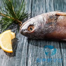 반건조 손질되어 먹기 편한 제수용 반찬용 국산 민어 여수 참 민어, 39cm 1마리