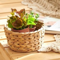 미니 원형 수초 바스켓, 미니 원형 바구니 1개
