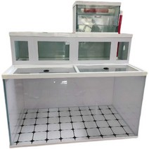 횟집 수족관 활어 사각 조개 양식 어항 수조 거북이