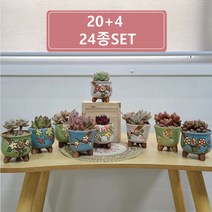 바로 꽃무늬 미니 다육이화분 24종
