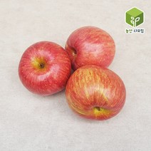 장수 거창 함양 부사사과 34-40과 고당도 10kg, 단품