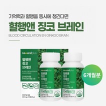 깜빡하는 습관 기억력 집중력 저하 두뇌 뇌 머리 혈액 혈관 혈행 순환 개선 관리 에 좋은 징코 은행잎 추출물 영양제, 2BOX(6개월분), 0.5g