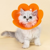 미우프 강아지 고양이 넥카라 상처보호 중성화 쿠션 깔대기, 옐로우