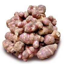 [과일예찬] 자색 생 돼지감자 3kg, 1개