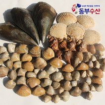 조개세트 2kg 4kg 조개구이 조개모듬 캠핑조개, [추가구성] 중전복 5마리