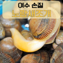 깨끗이 손질 된 여수 노랑새조개 500g (손질 전 2.5 kg 급랭)