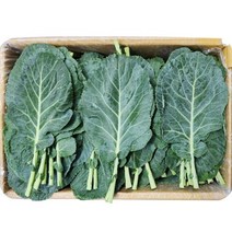 쌈케일 1.8kg-2kg