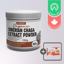 캐나다 노스웨스트 유기농 10배 시베리안 차가버섯 추출분말 150g, 1통 (150g 약5개월분) 무료발송, 1개