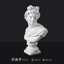 중형 석고상 조각 아그리파 비너스 감성 인스타 소품, 아프로 30cm