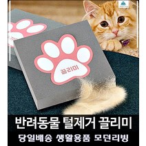 쇼파청소 카페트먼지 반려묘용품 털제거스펀지 고양이털청소기 강아지물품 고양이용품샵, 끌리미