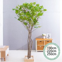 실내인테리어 인조나무 123종 / 플트 조화나무 C, C08.라인-느티나무 220cmK/코너형