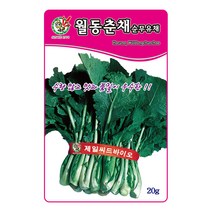 제일 월동춘채순무유채 씨앗 20g