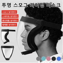 (1+1) 김서림 방지 투명 방호 마스크 풀 페이스 쉴드 / 공사용 비말차단 투명마스크 *2, 프리사이즈, 푸른 색*2