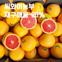 씨와이농부 레드자몽 재구매율90%루비 고당도 골드메로 자몽 중과 대과 특과 15kg, 330g, 45개