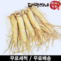 인삼수삼 오쿠1회분 원삼소 세척 5뿌리내외 250g 대명이네인삼, 1개