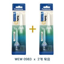 파나소닉정품 구강세정기(EW1511/EW1613) 교체노즐WEW0983 2개묶음패키지