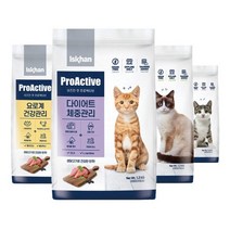 이즈칸캣 프로액티브 어덜트 다이어트 요로계 키튼 1.2kg 고양이사료, 1kg