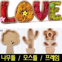 [아트랄라]나무틀/모스틀/원목틀/스칸디아모스프레임/액자, 선인장 프레임