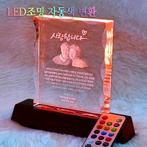 크리스탈 감사패 무드등기능 부모님 감사패 회갑 칠순 퇴임 퇴직 공로패 자개 원목, 크리스탈 3D패 1인초상, 1개