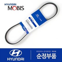 순정 겉벨트 팬벨트 (V 리브드 벨트) (2521542001) 그레이스 포터 갤로퍼