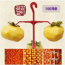 집에서 곶감만들기 곶감DIY 곶감걸이 100개용 + 꼭지핀 100개